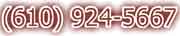 Suburbs 610 924 5667